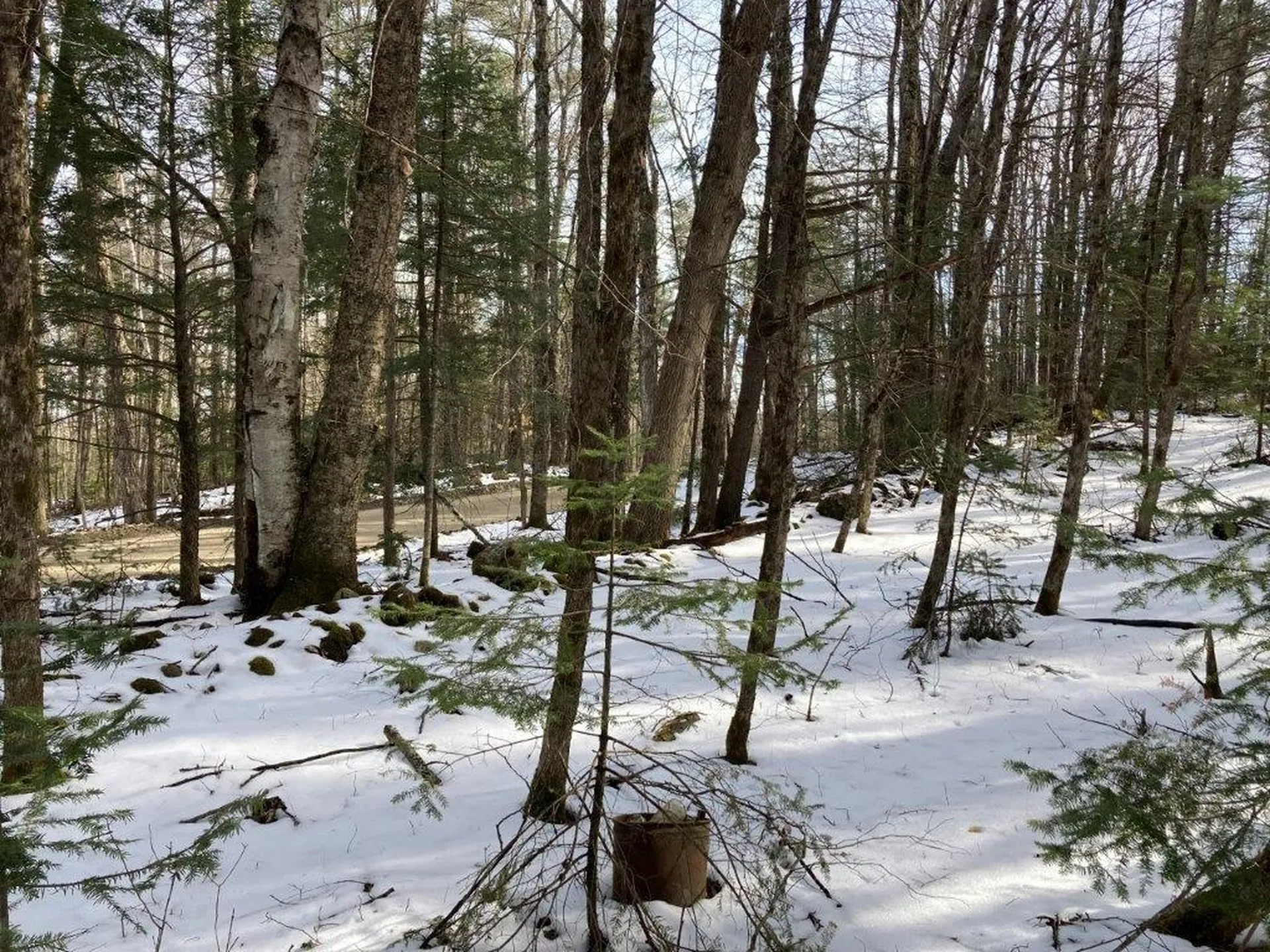 Jerusalem Road Canaan NH 03741
