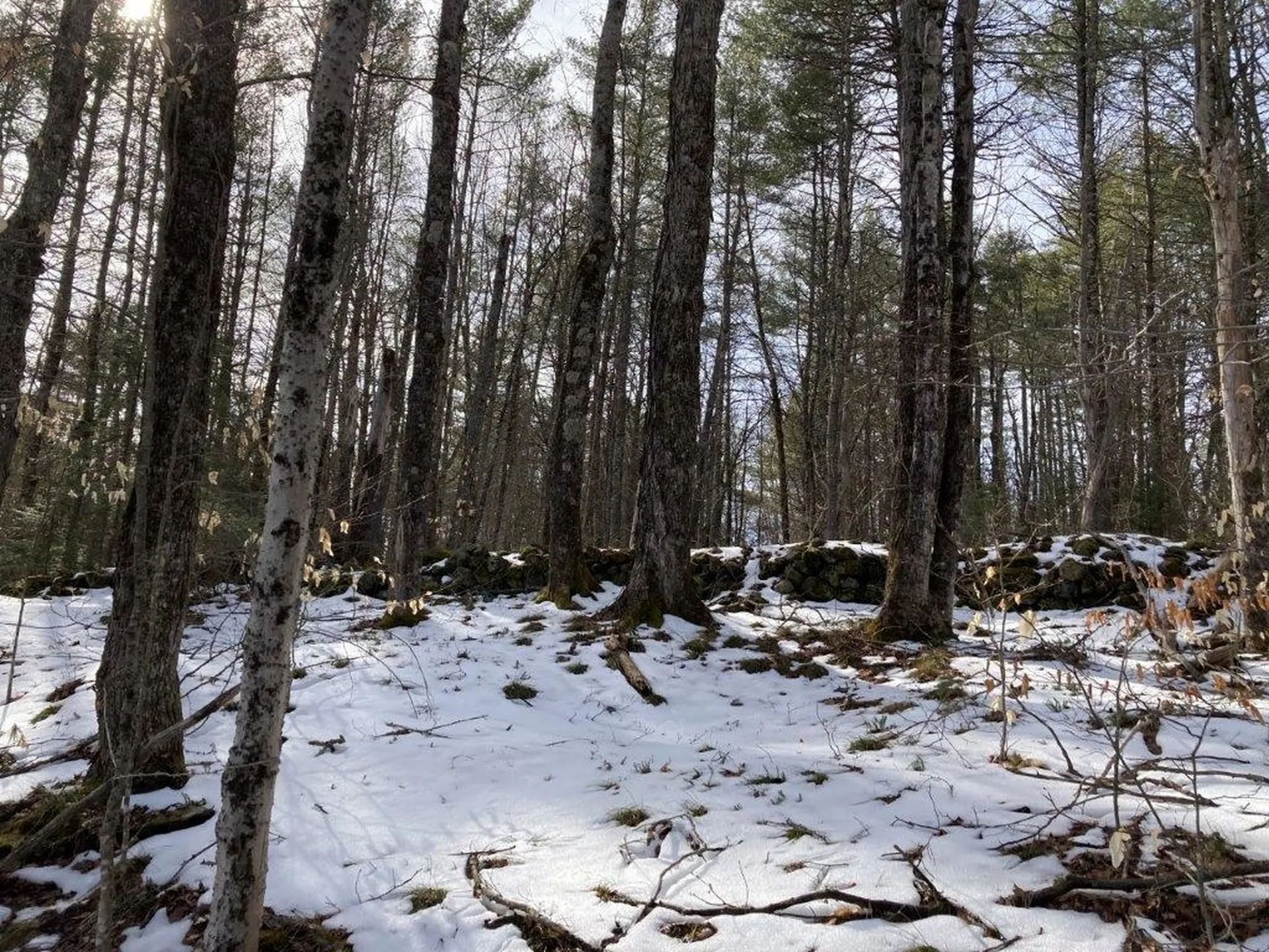 Jerusalem Road Canaan NH 03741