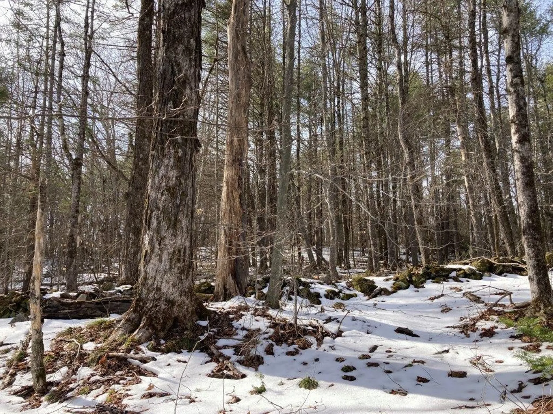 Jerusalem Road Canaan NH 03741