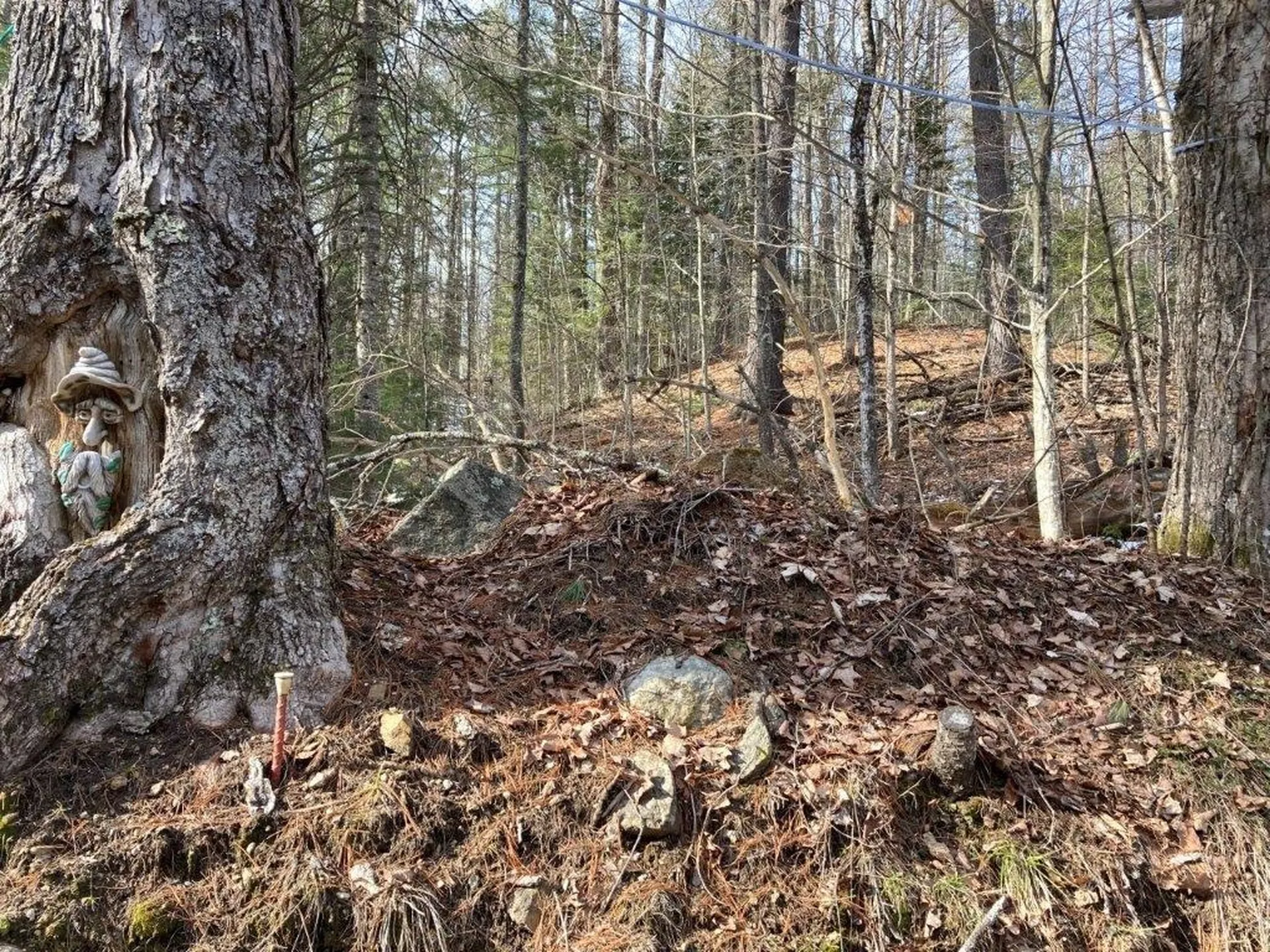 Jerusalem Road Canaan NH 03741
