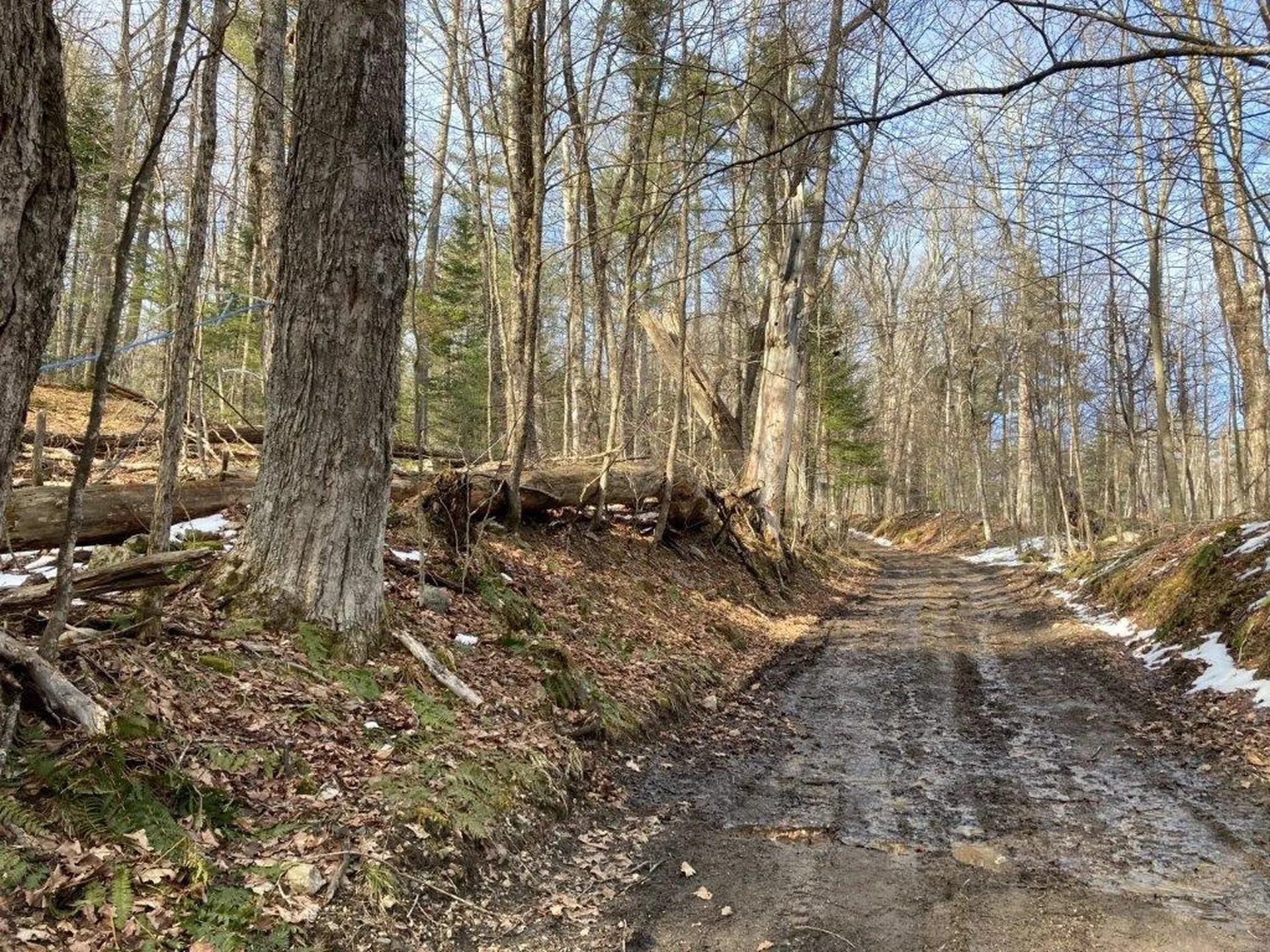 Jerusalem Road Canaan NH 03741