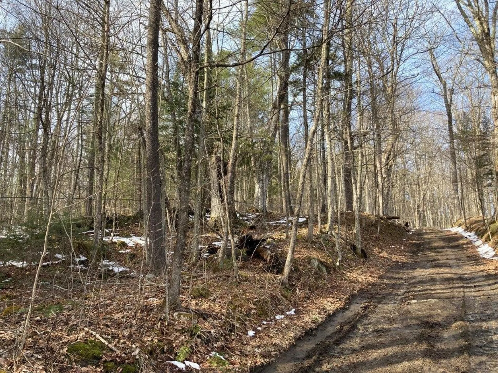 Jerusalem Road Canaan NH 03741