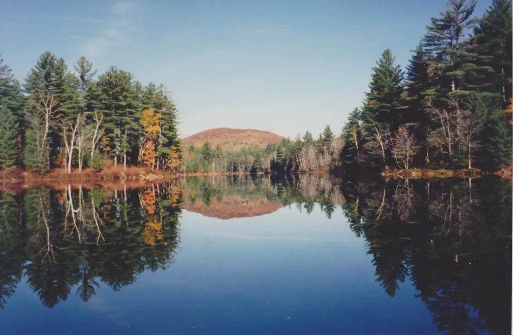 56 Hemlock Drive Londonderry VT 05148