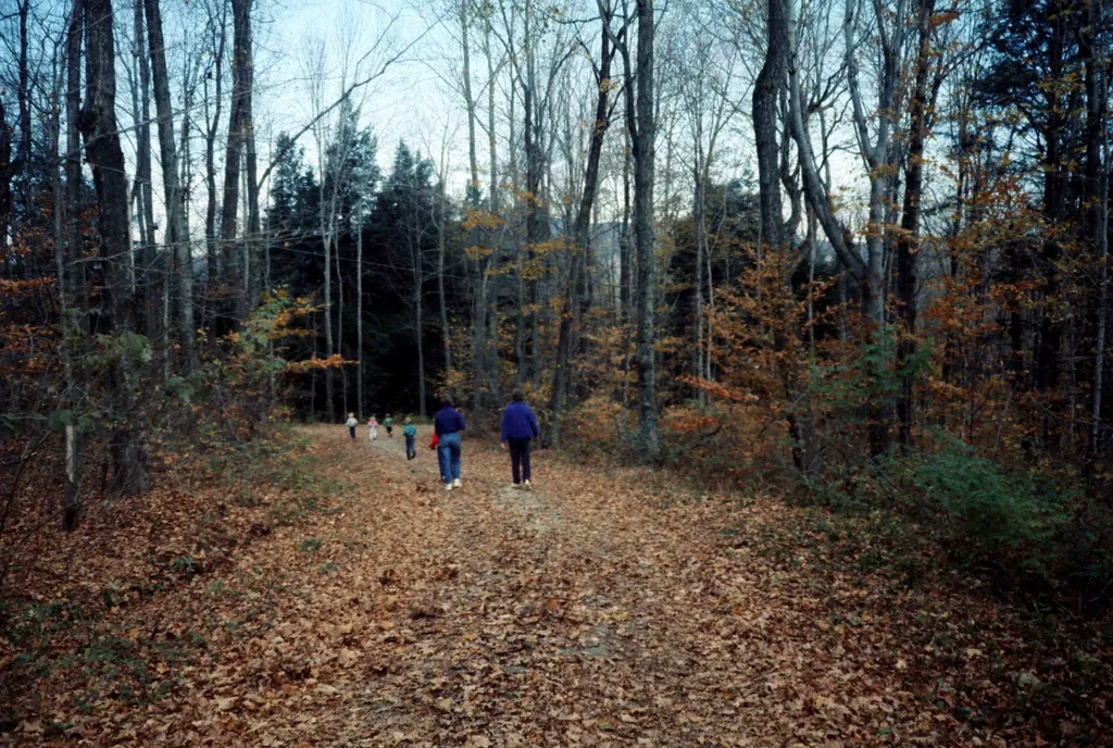 56 Hemlock Drive Londonderry VT 05148