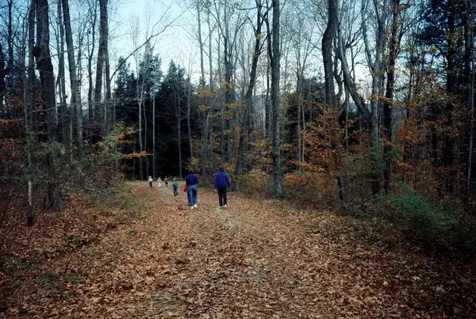 56 Hemlock Drive Londonderry VT 05148