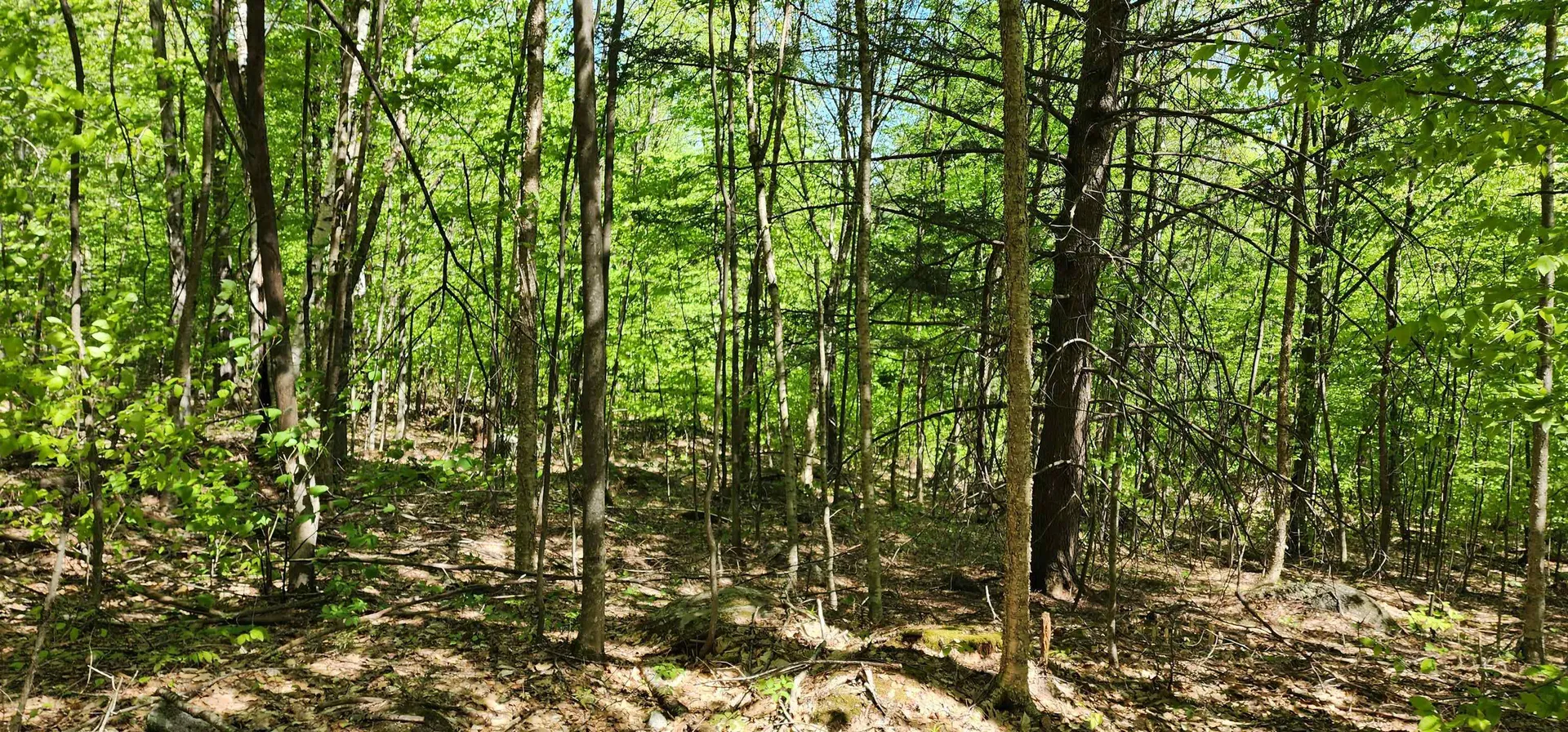 0 Whitney Road Henniker NH 03242