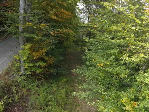 1297 River Road Jamaica VT 05343