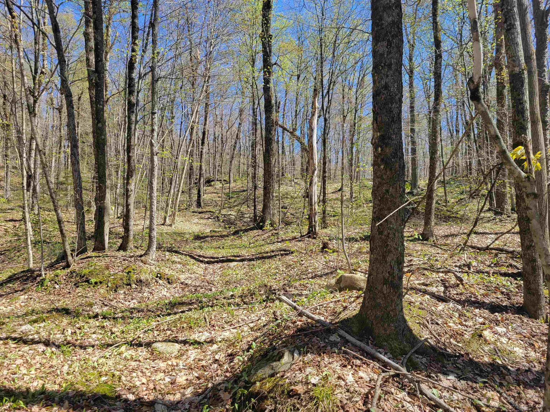 Lot 120 Beartown Road Underhill VT 05489