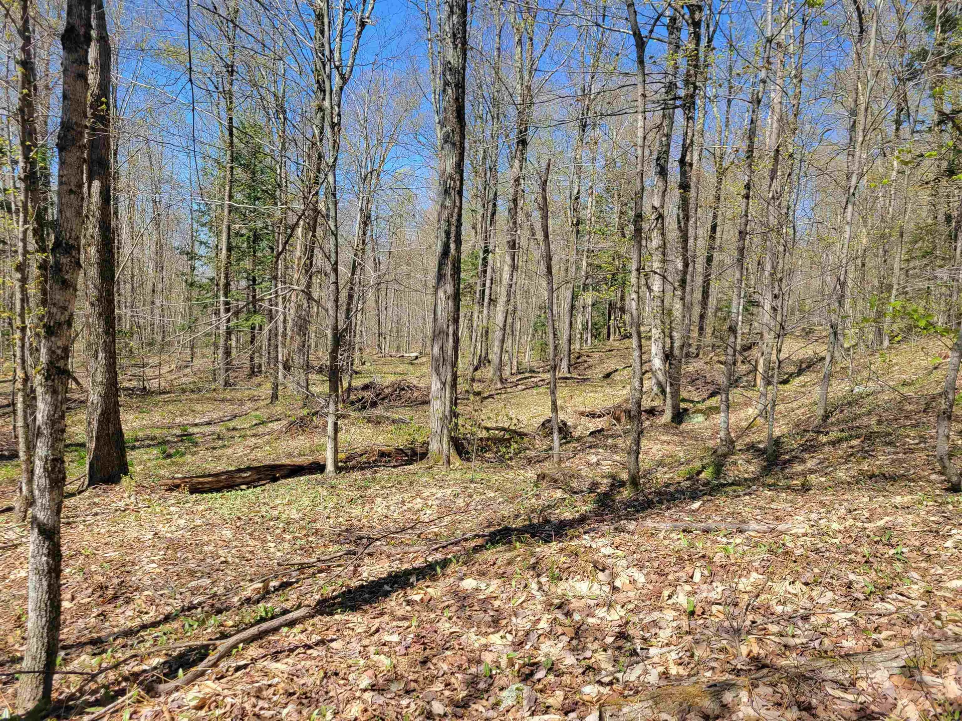 Lot 120 Beartown Road Underhill VT 05489