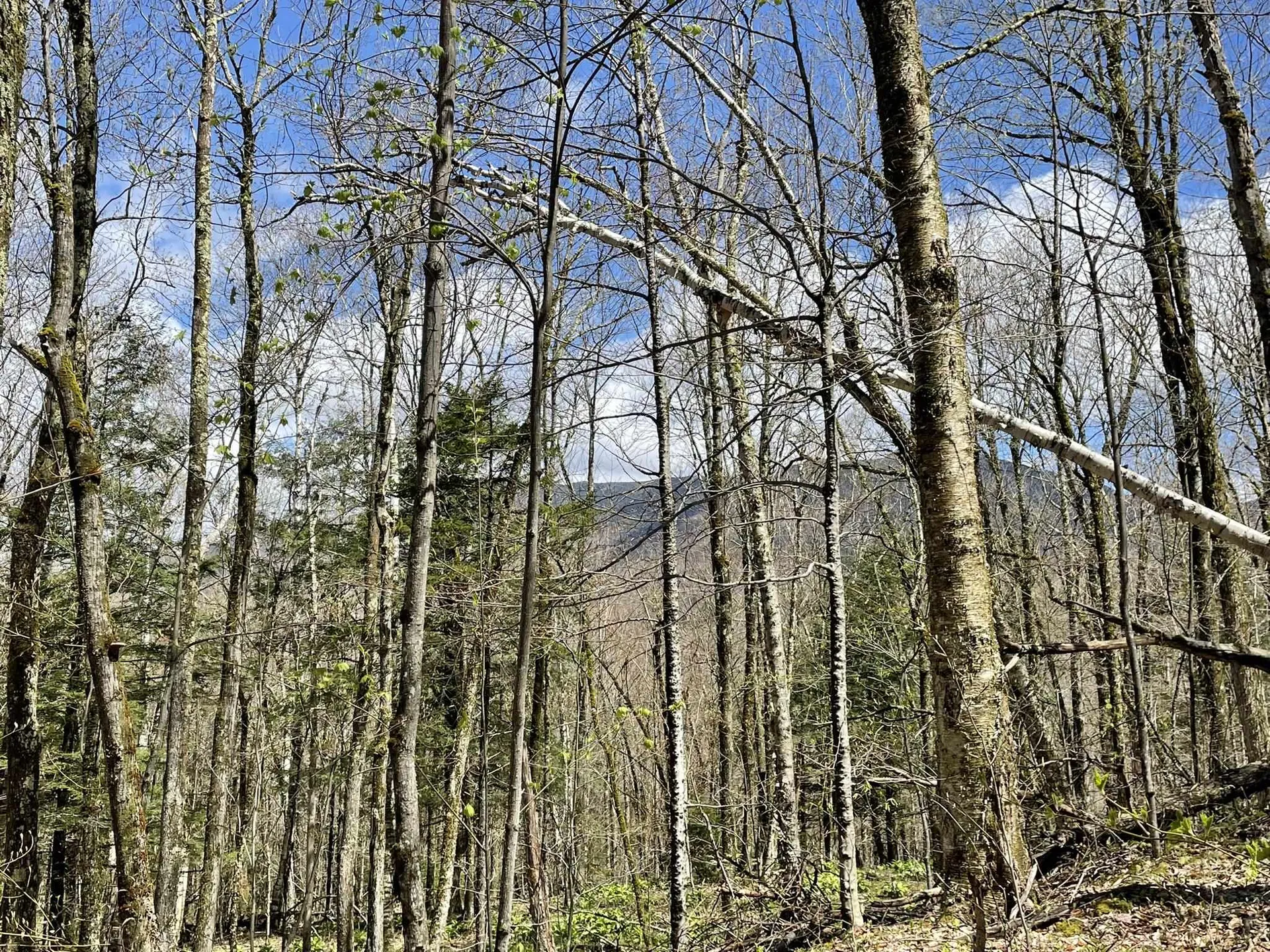 Lot 120 Beartown Road Underhill VT 05489
