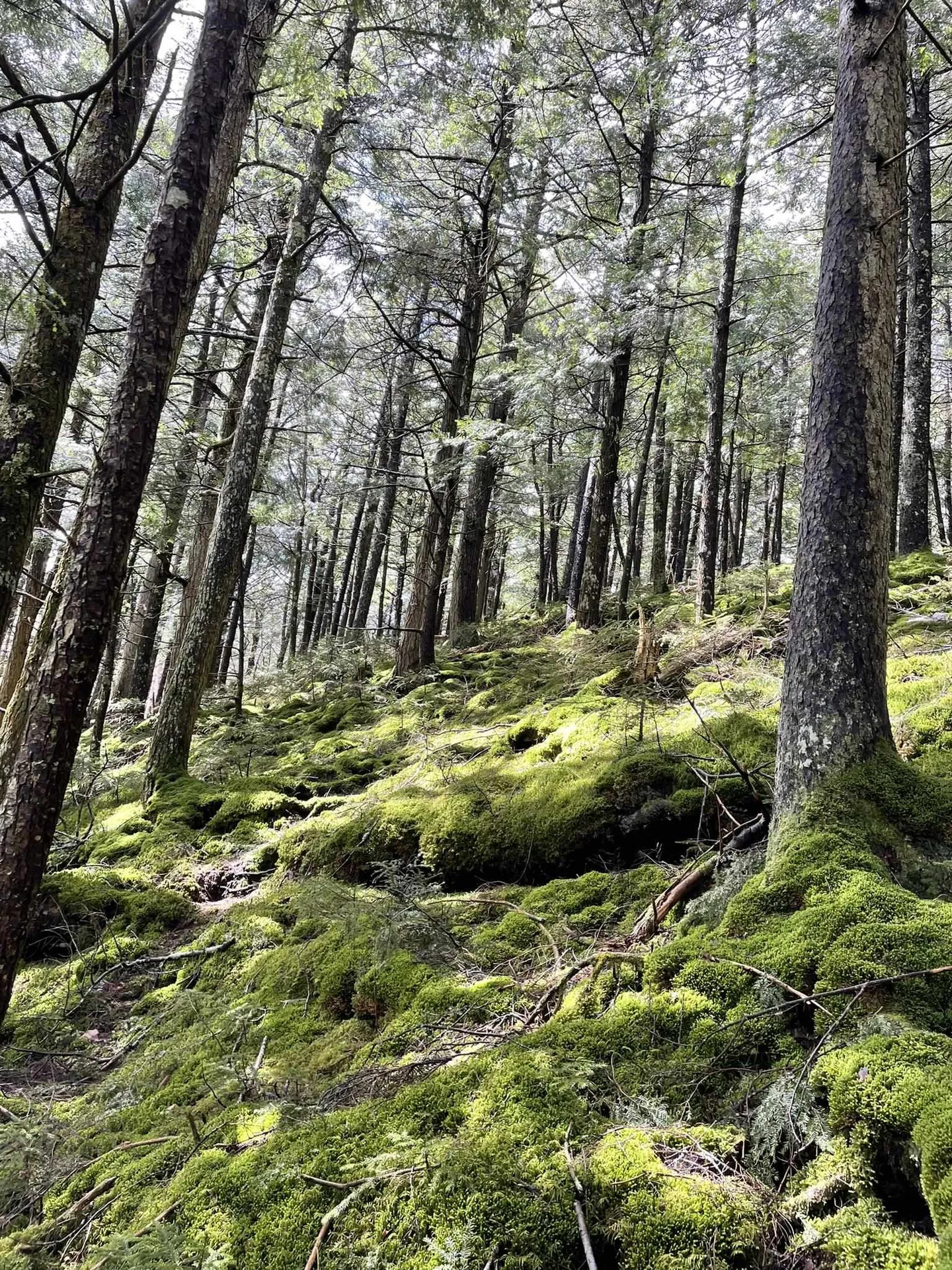 Lot 120 Beartown Road Underhill VT 05489