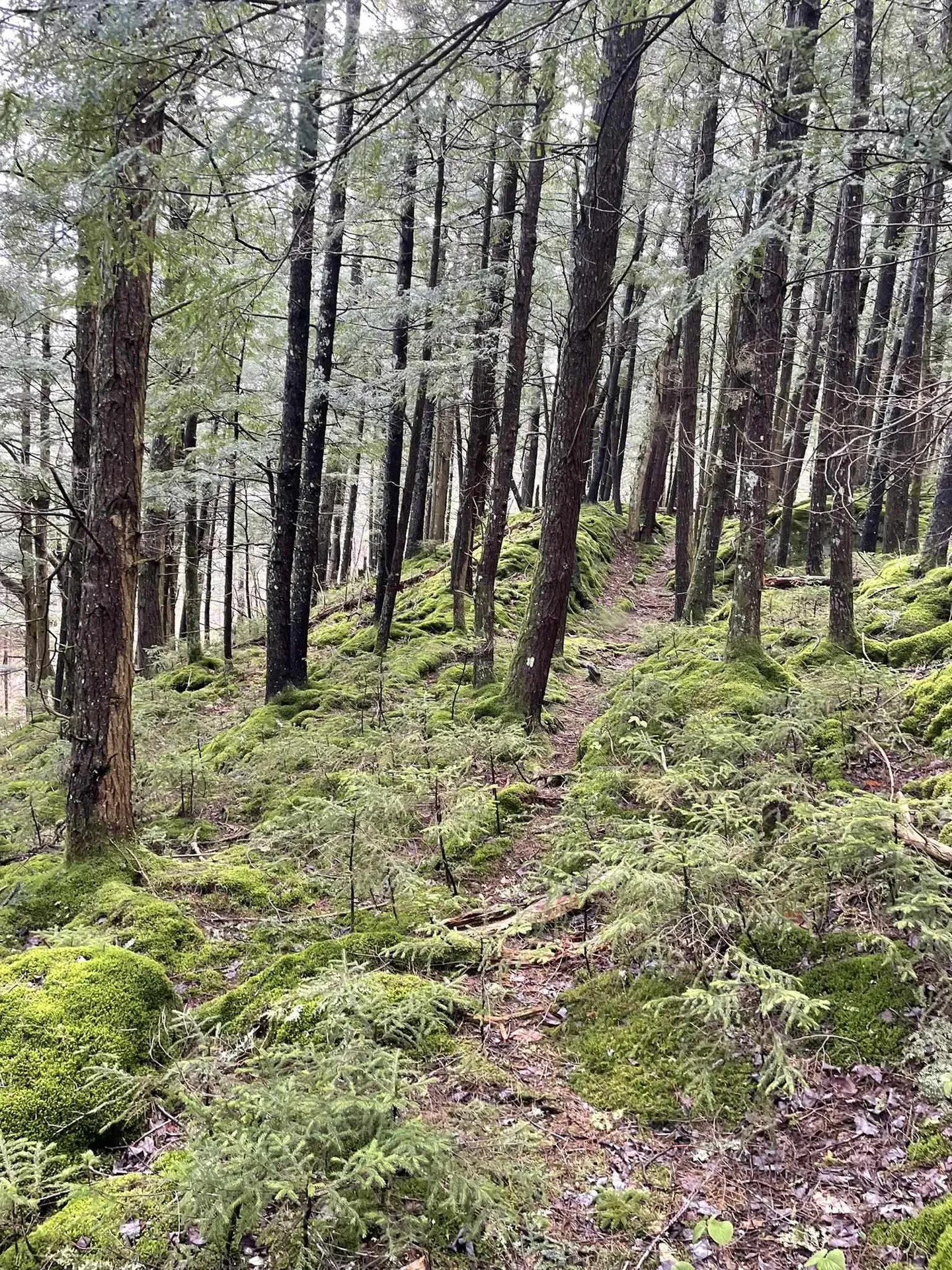 Lot 120 Beartown Road Underhill VT 05489