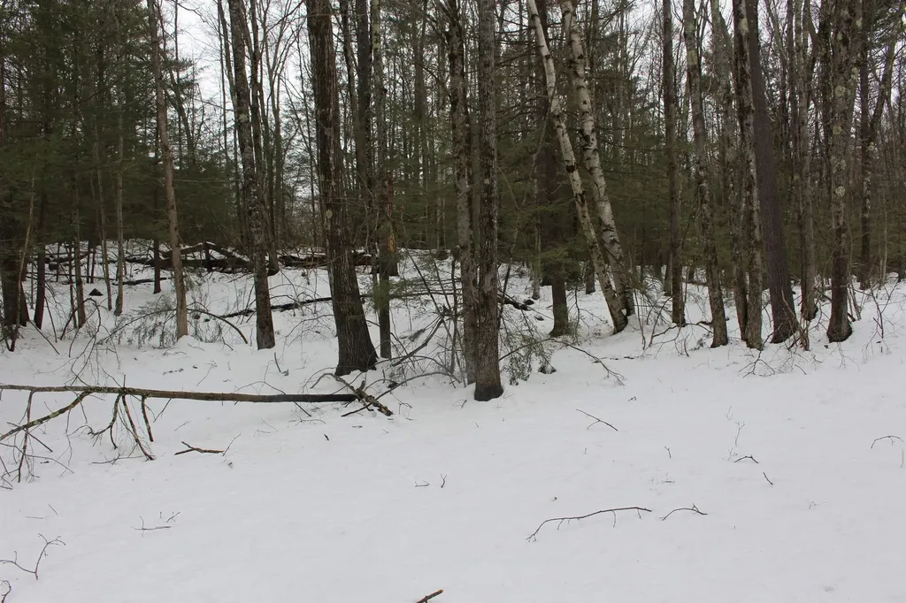 40 Smith Road Chester NH 03036