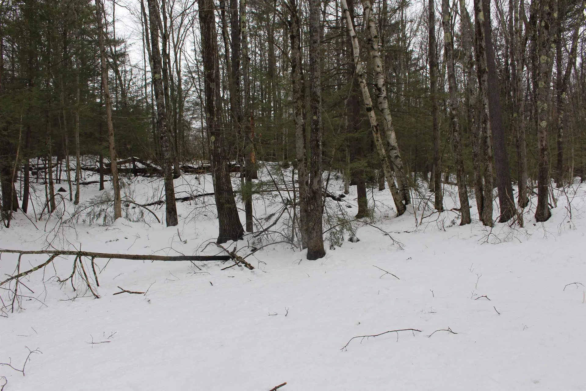 40 Smith Road Chester NH 03036
