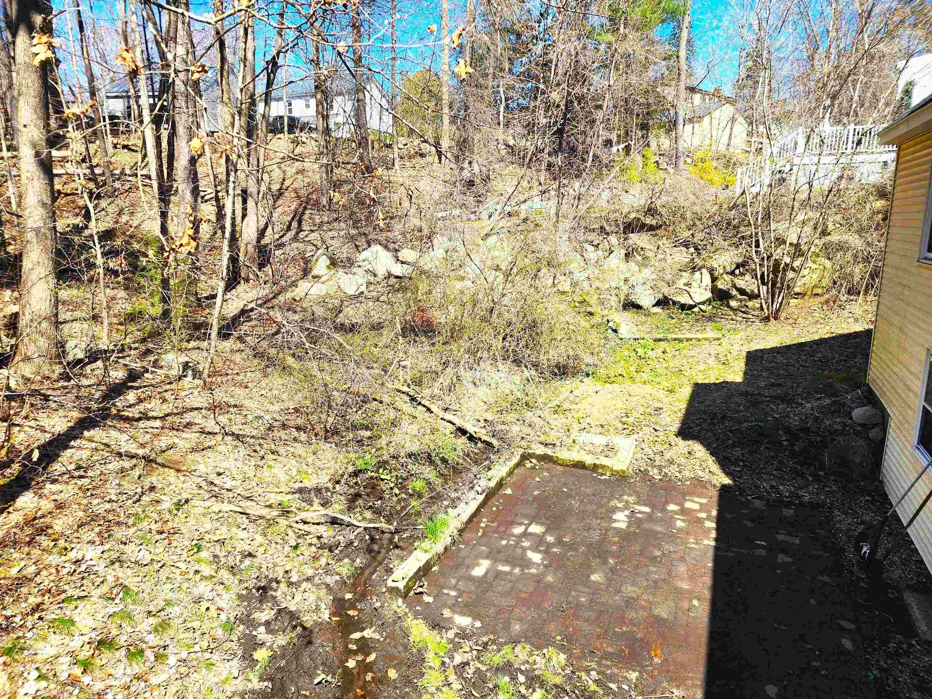 19 Wolf Road Lebanon NH 03766