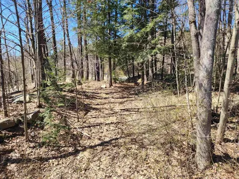 19 Wolf Road Lebanon NH 03766