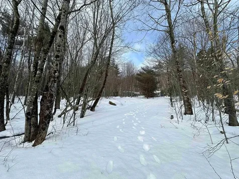 145 Quaker Path Wilmot NH 03287