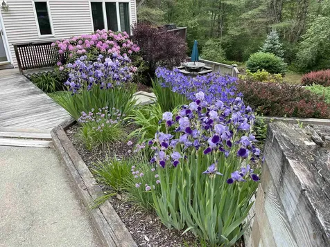 59 Loop Road Newfane VT 05345