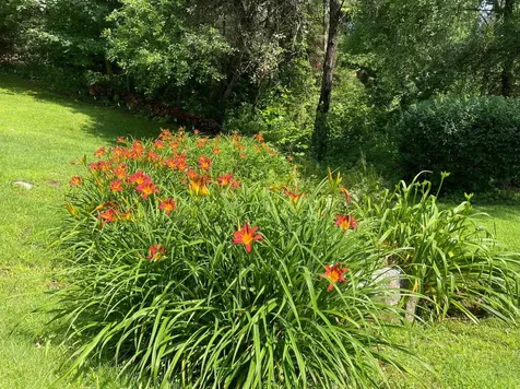 59 Loop Road Newfane VT 05345