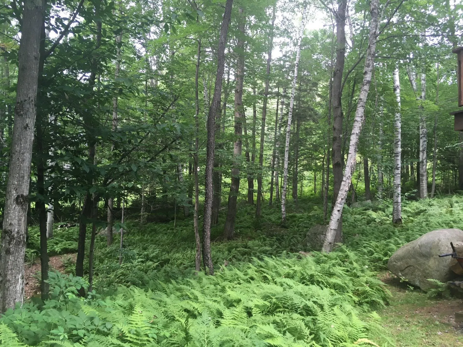 146 Eva Lane Stoddard NH 03464