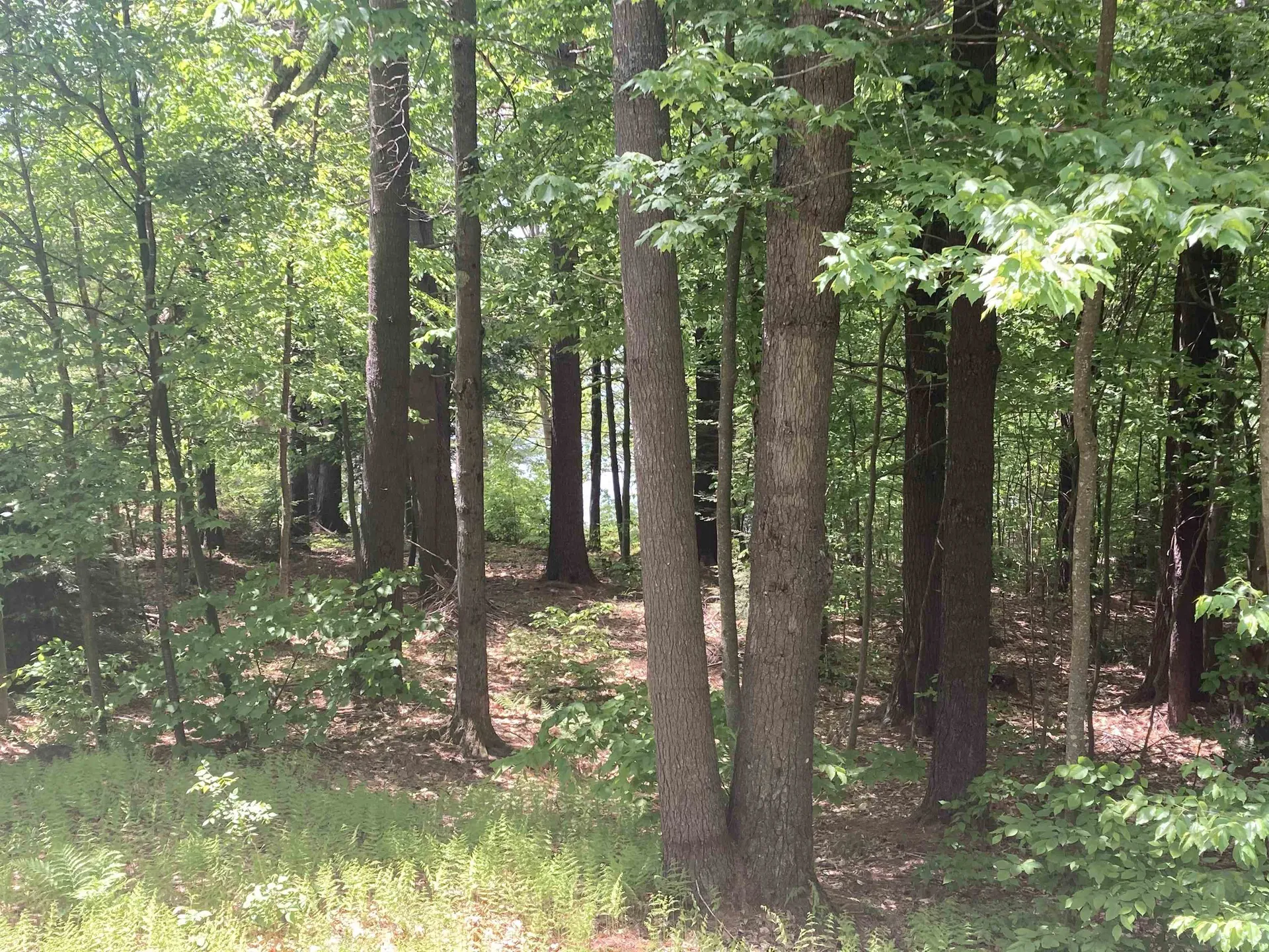 146 Eva Lane Stoddard NH 03464