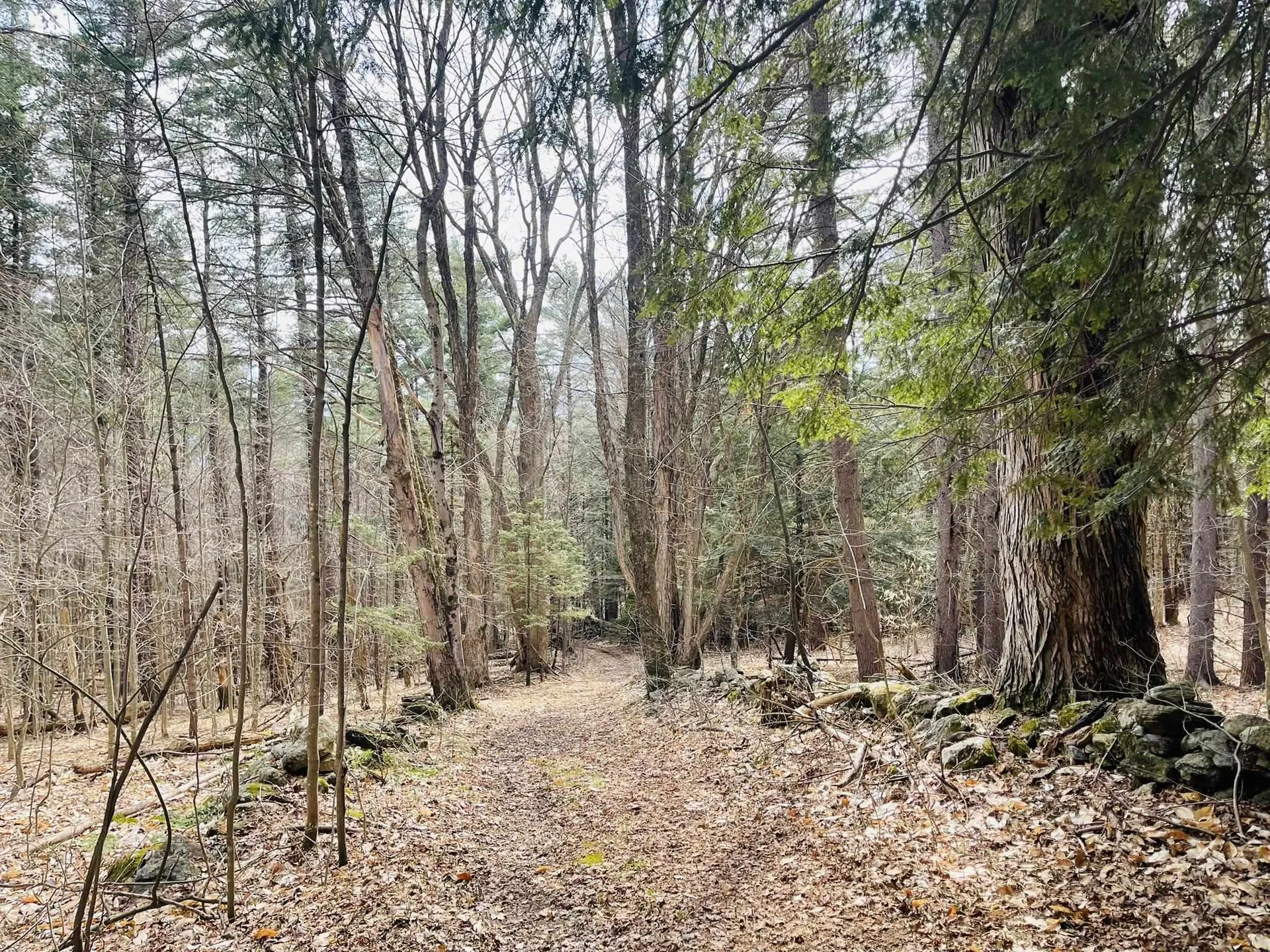 0 Lackey Hill Road Wardsboro VT 05355