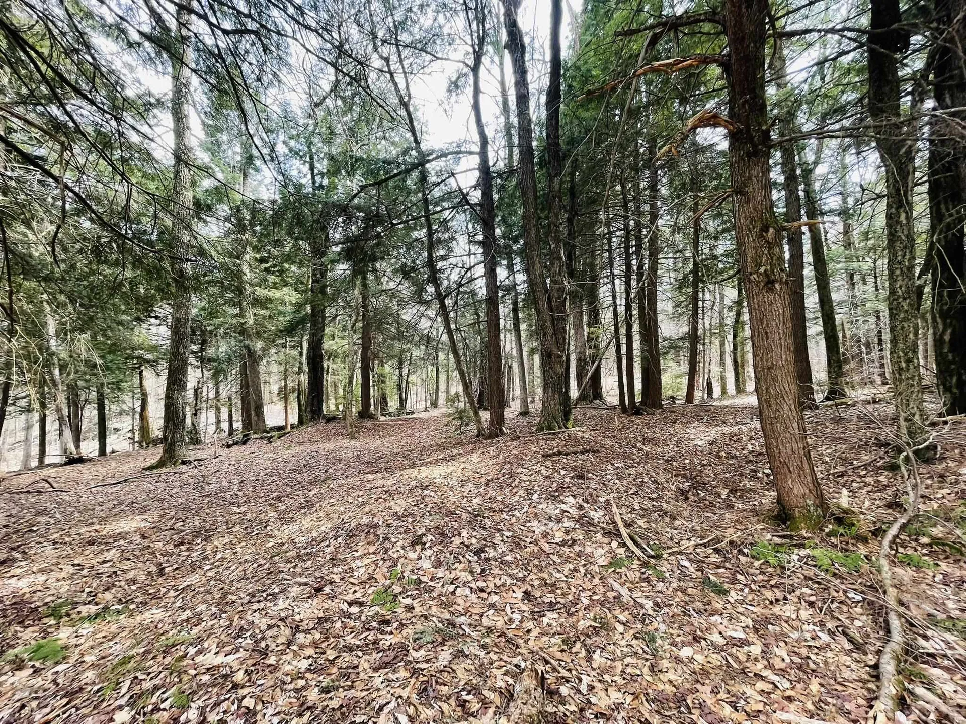 0 Lackey Hill Road Wardsboro VT 05355