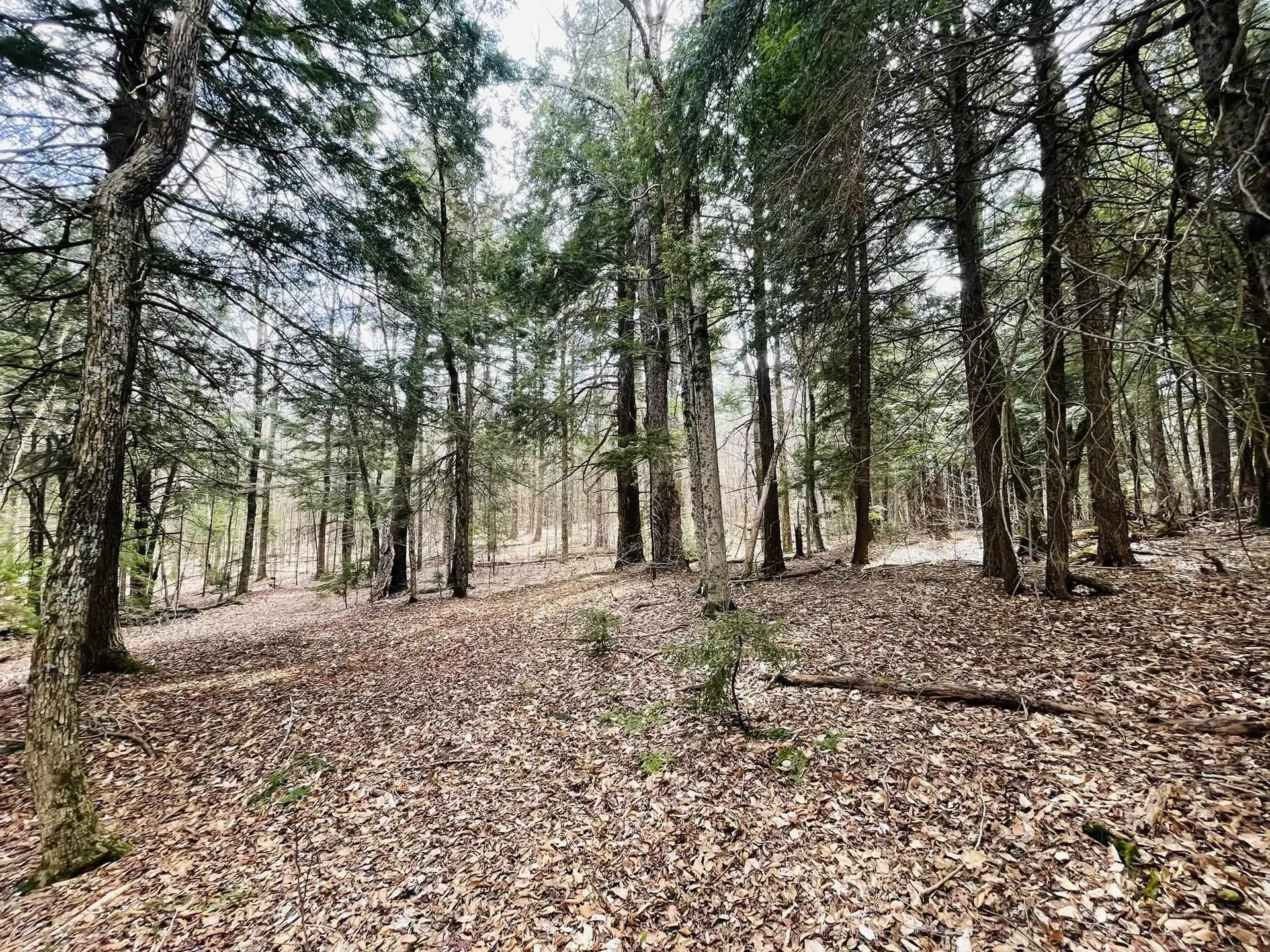 0 Lackey Hill Road Wardsboro VT 05355