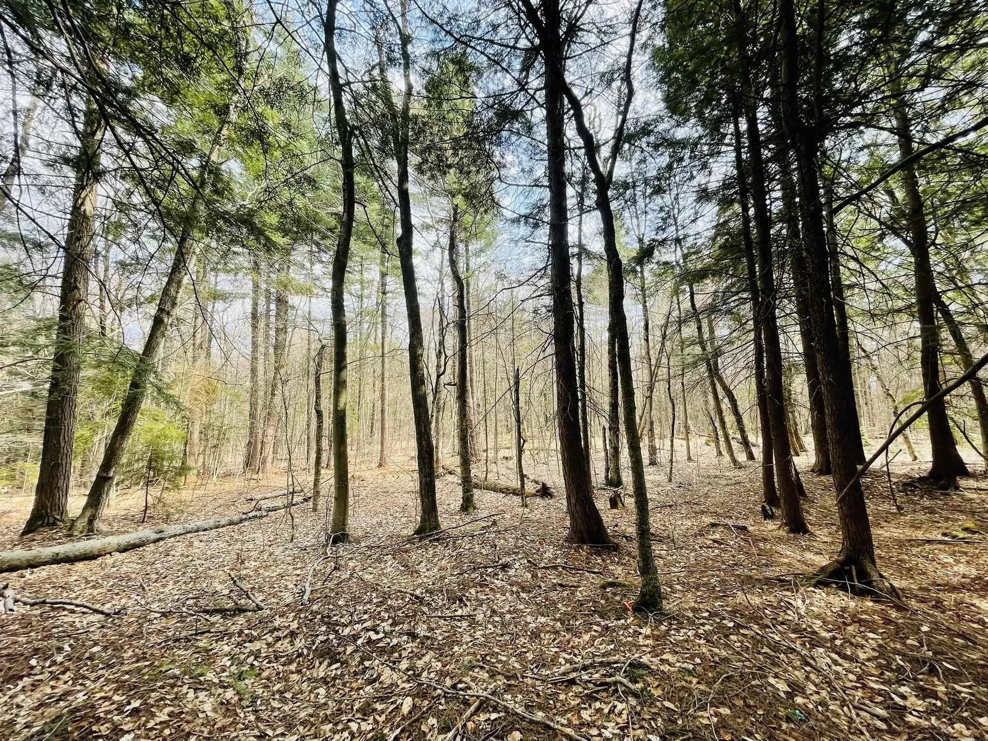 0 Lackey Hill Road Wardsboro VT 05355