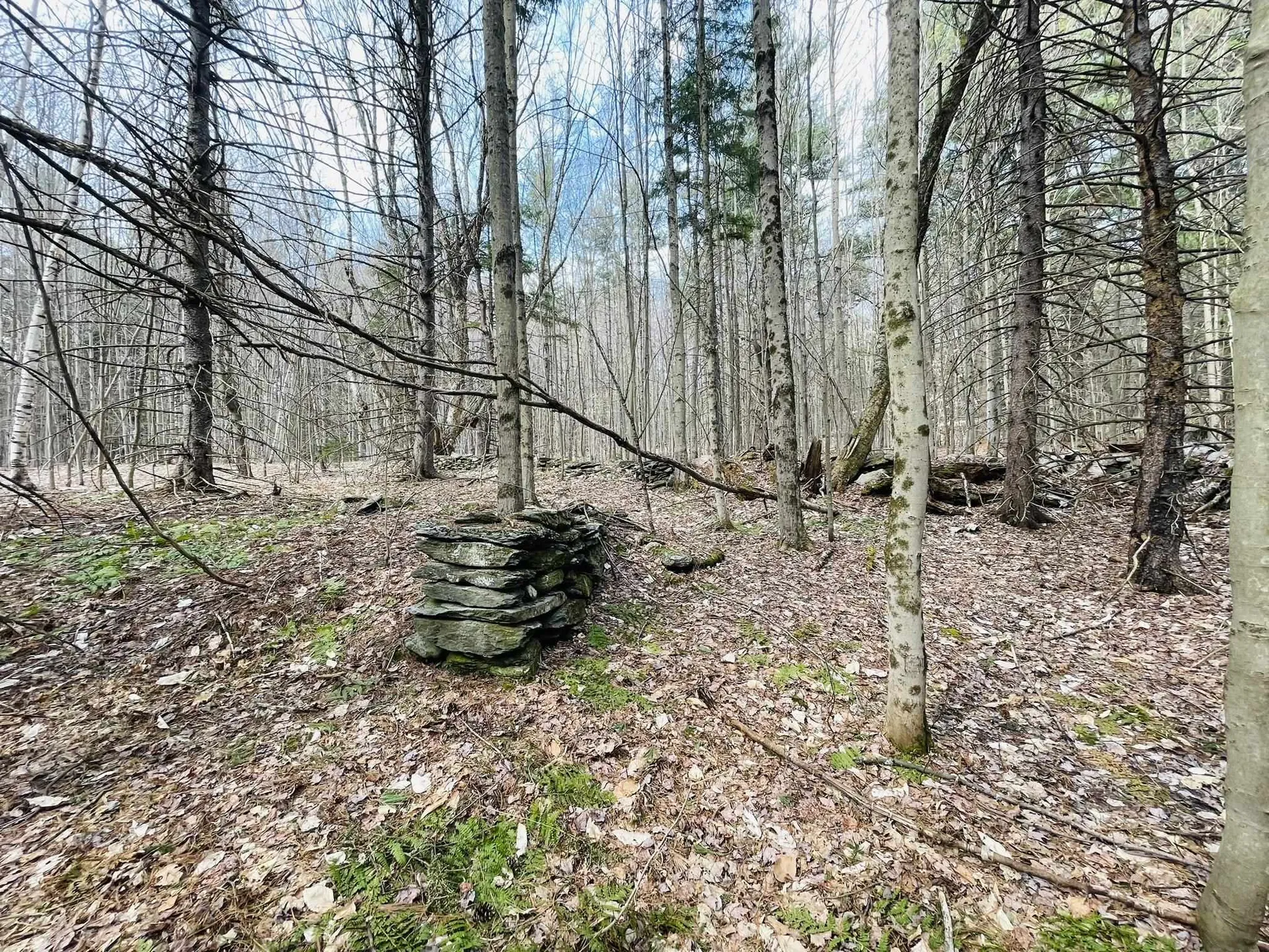 0 Lackey Hill Road Wardsboro VT 05355