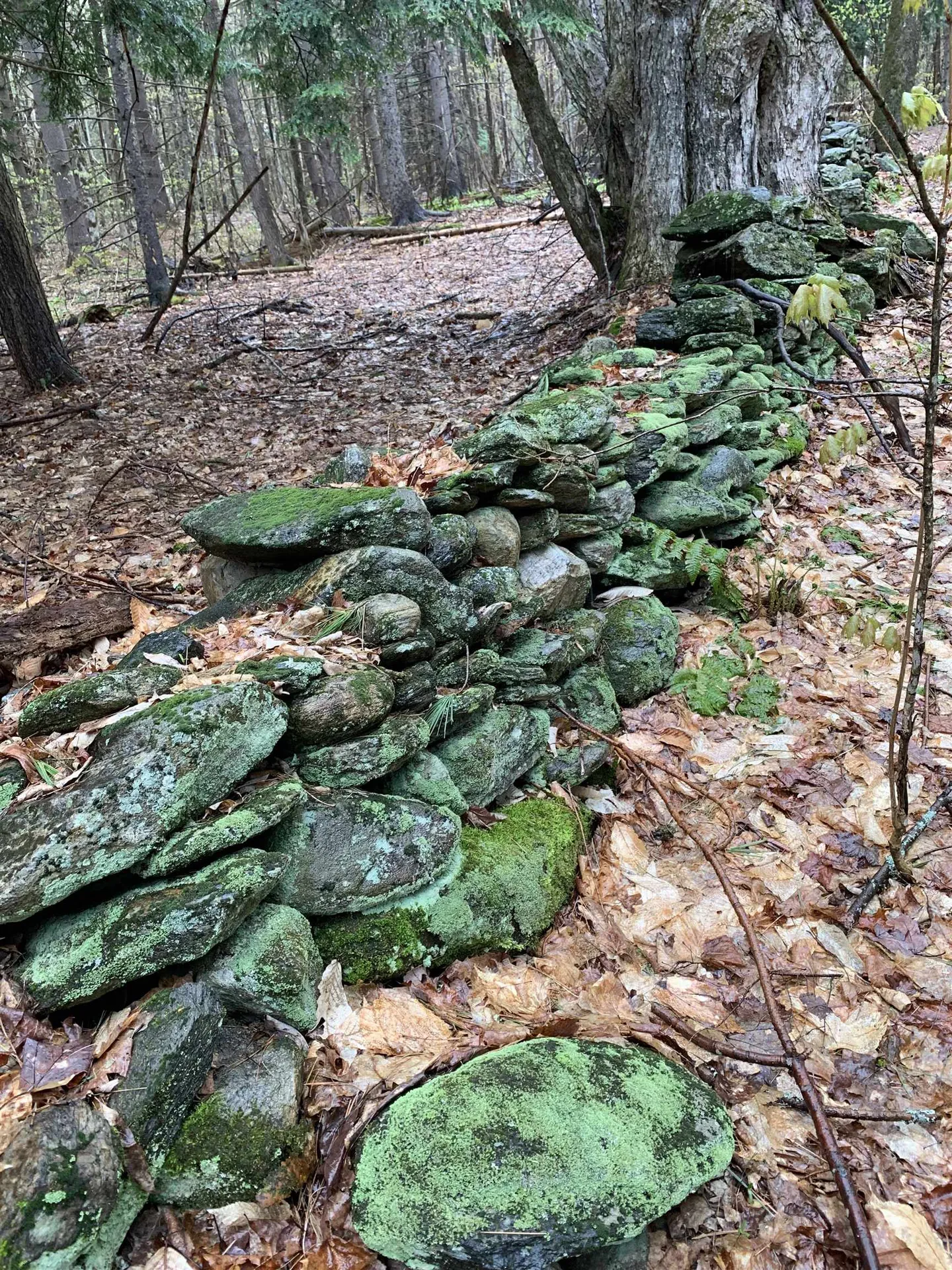 0 Lackey Hill Road Wardsboro VT 05355