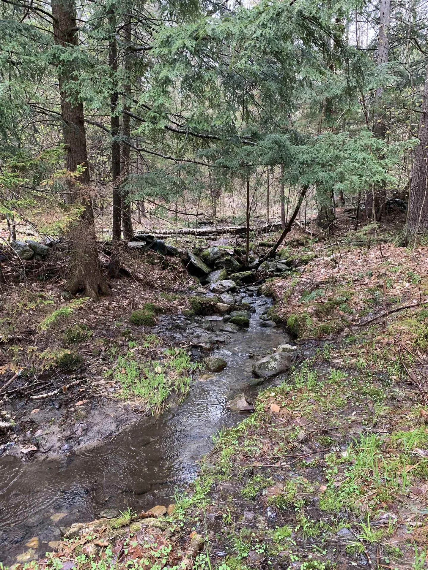 0 Lackey Hill Road Wardsboro VT 05355