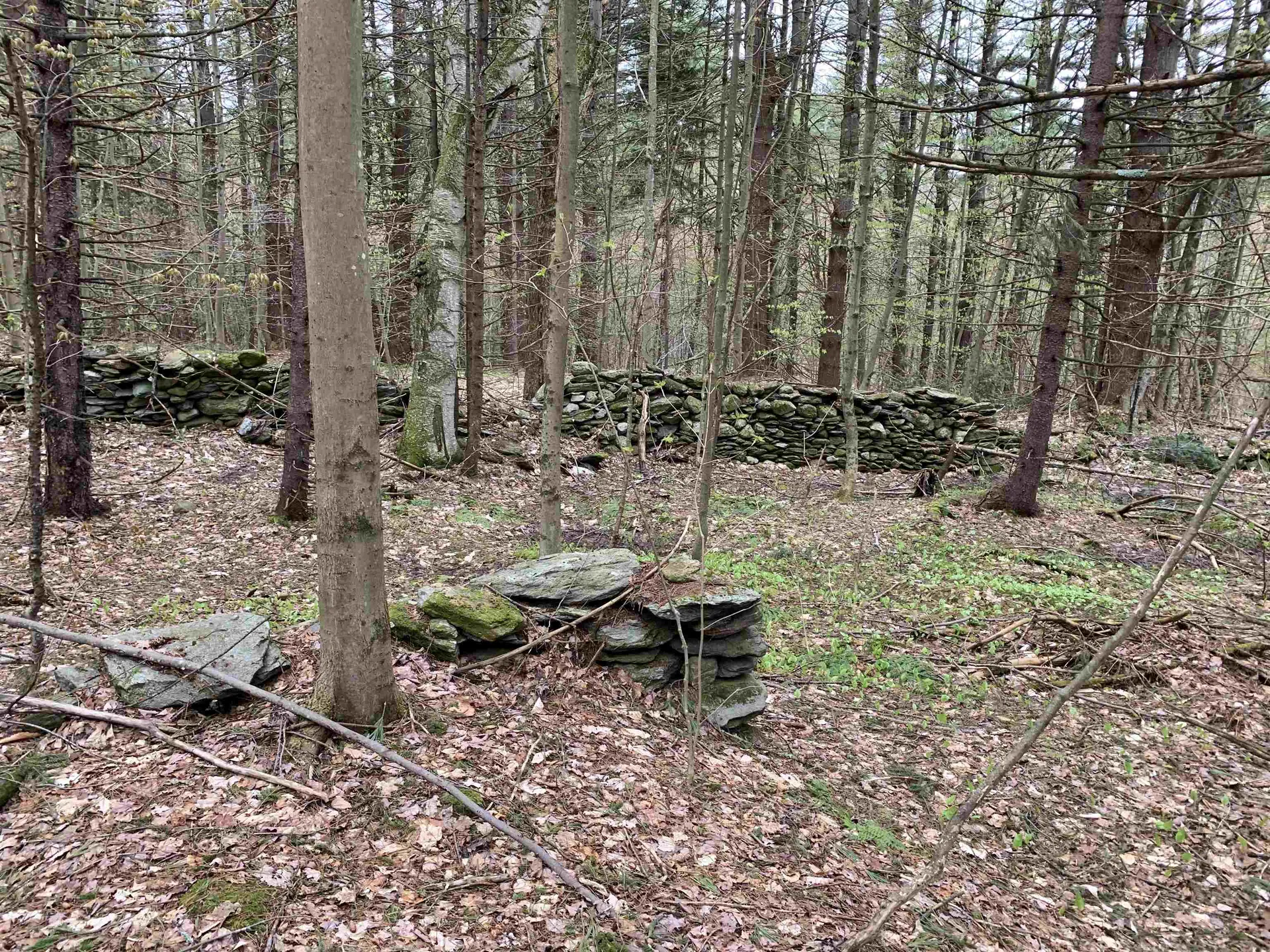 0 Lackey Hill Road Wardsboro VT 05355