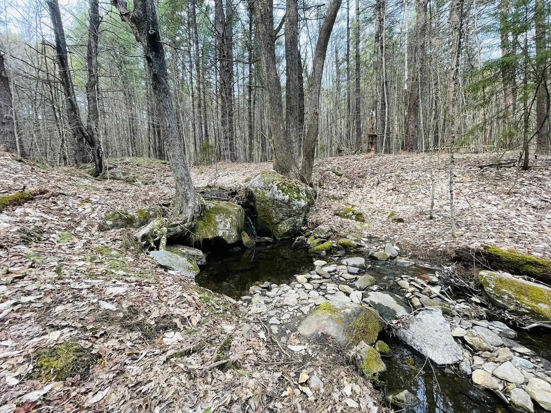 0 Lackey Hill Road Wardsboro VT 05355