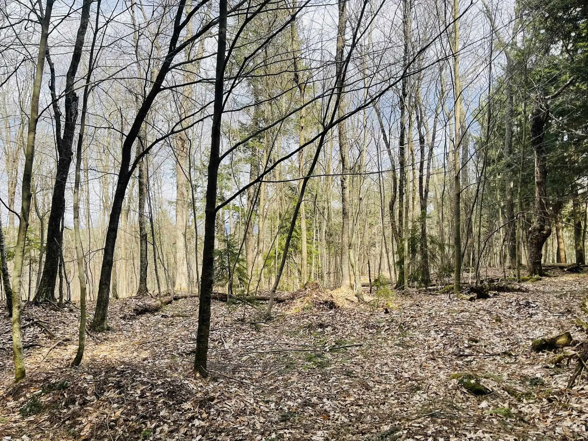 0 Lackey Hill Road Wardsboro VT 05355