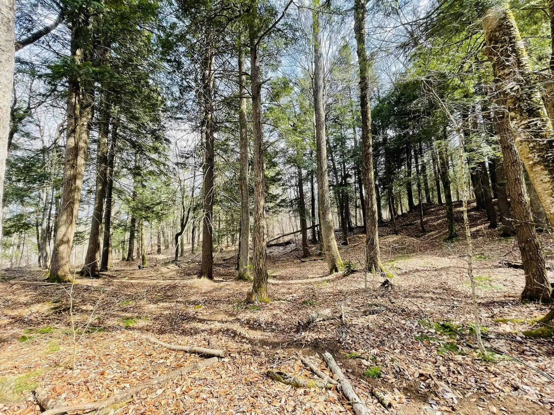 0 Lackey Hill Road Wardsboro VT 05355