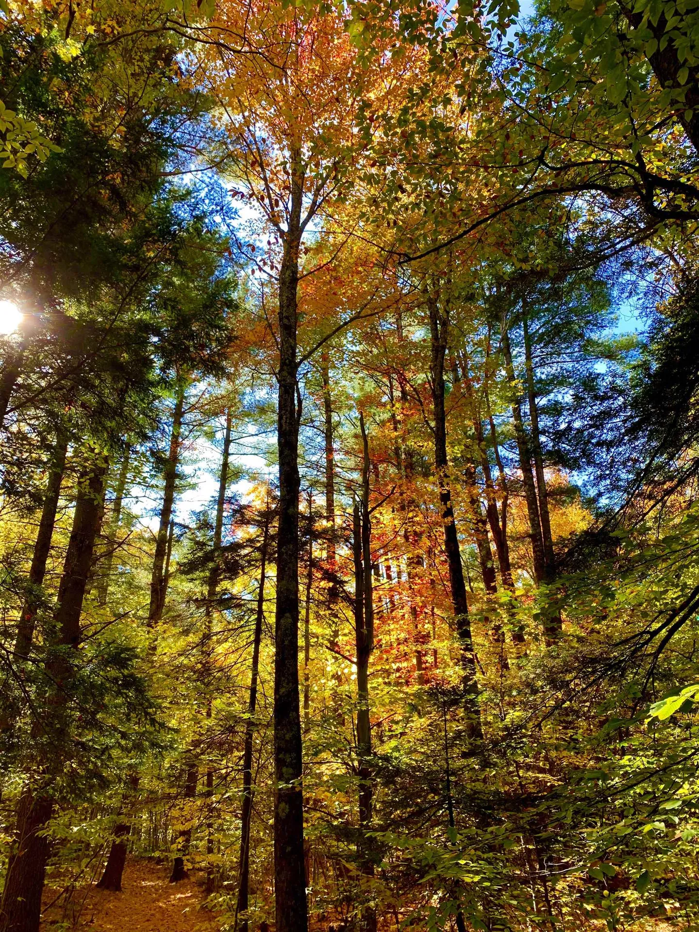 0 Lackey Hill Road Wardsboro VT 05355