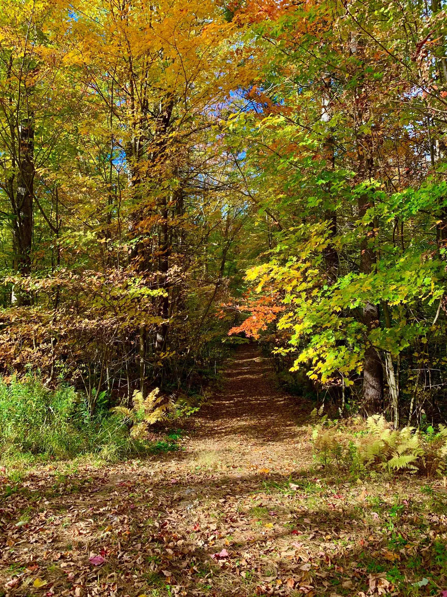 0 Lackey Hill Road Wardsboro VT 05355
