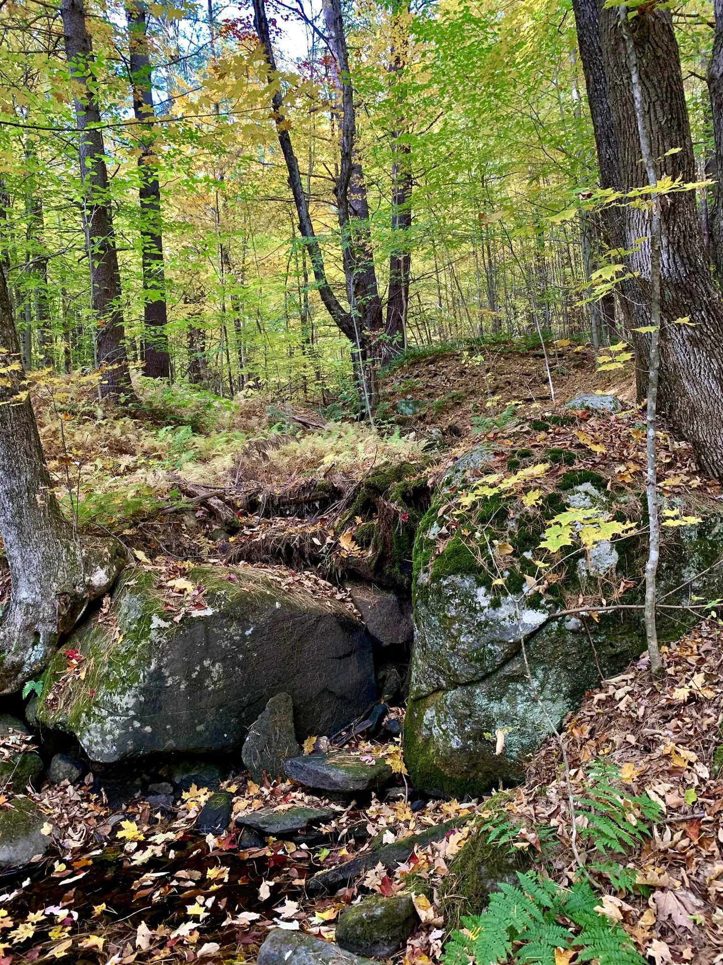 0 Lackey Hill Road Wardsboro VT 05355