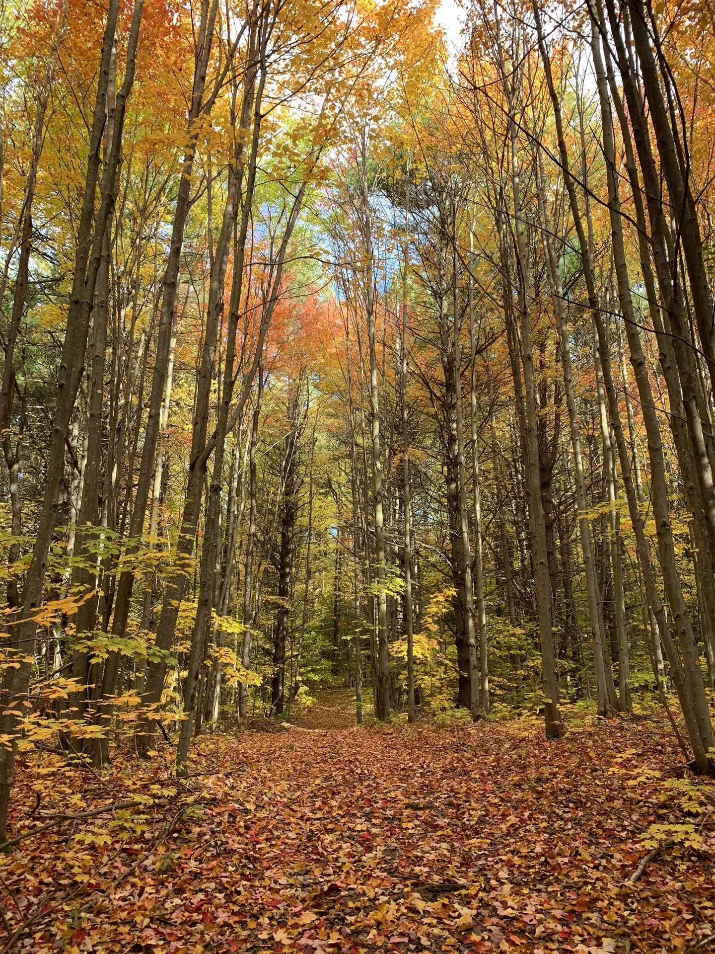 0 Lackey Hill Road Wardsboro VT 05355