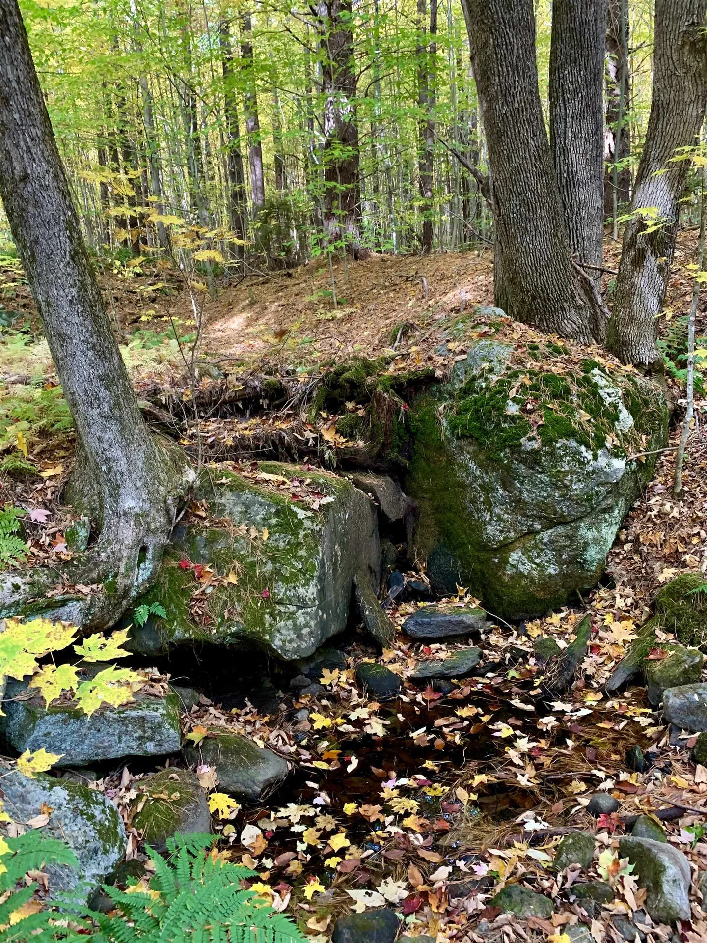 0 Lackey Hill Road Wardsboro VT 05355