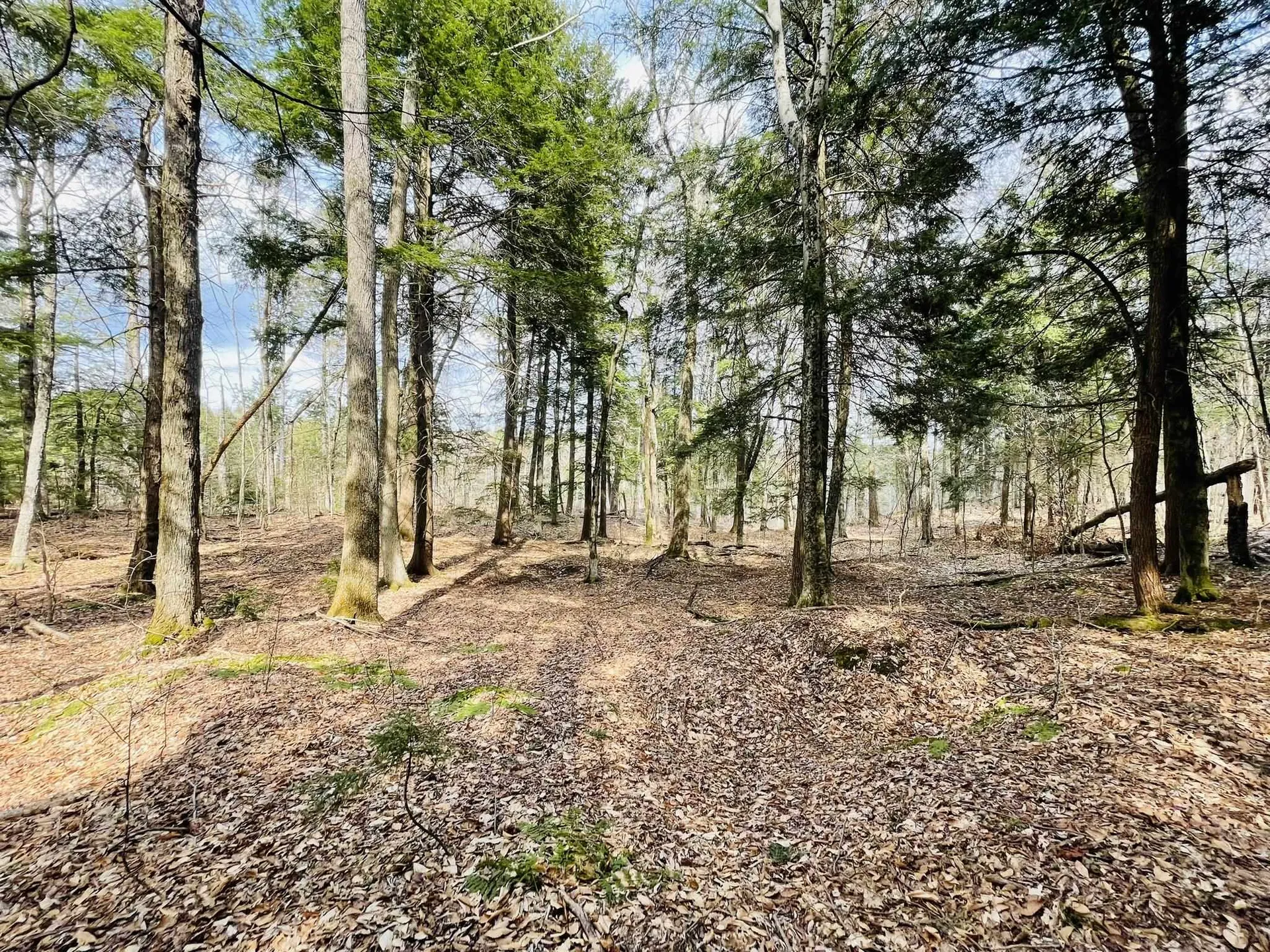 0 Lackey Hill Road Wardsboro VT 05355