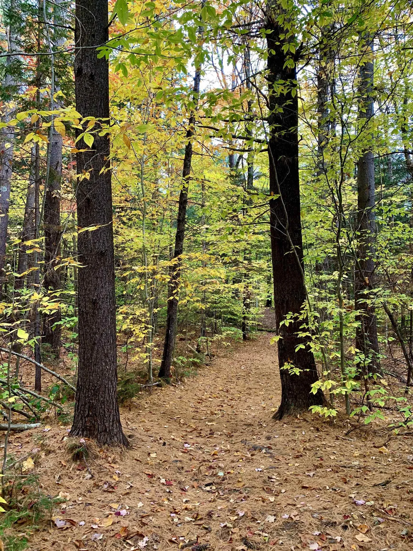 0 Lackey Hill Road Wardsboro VT 05355