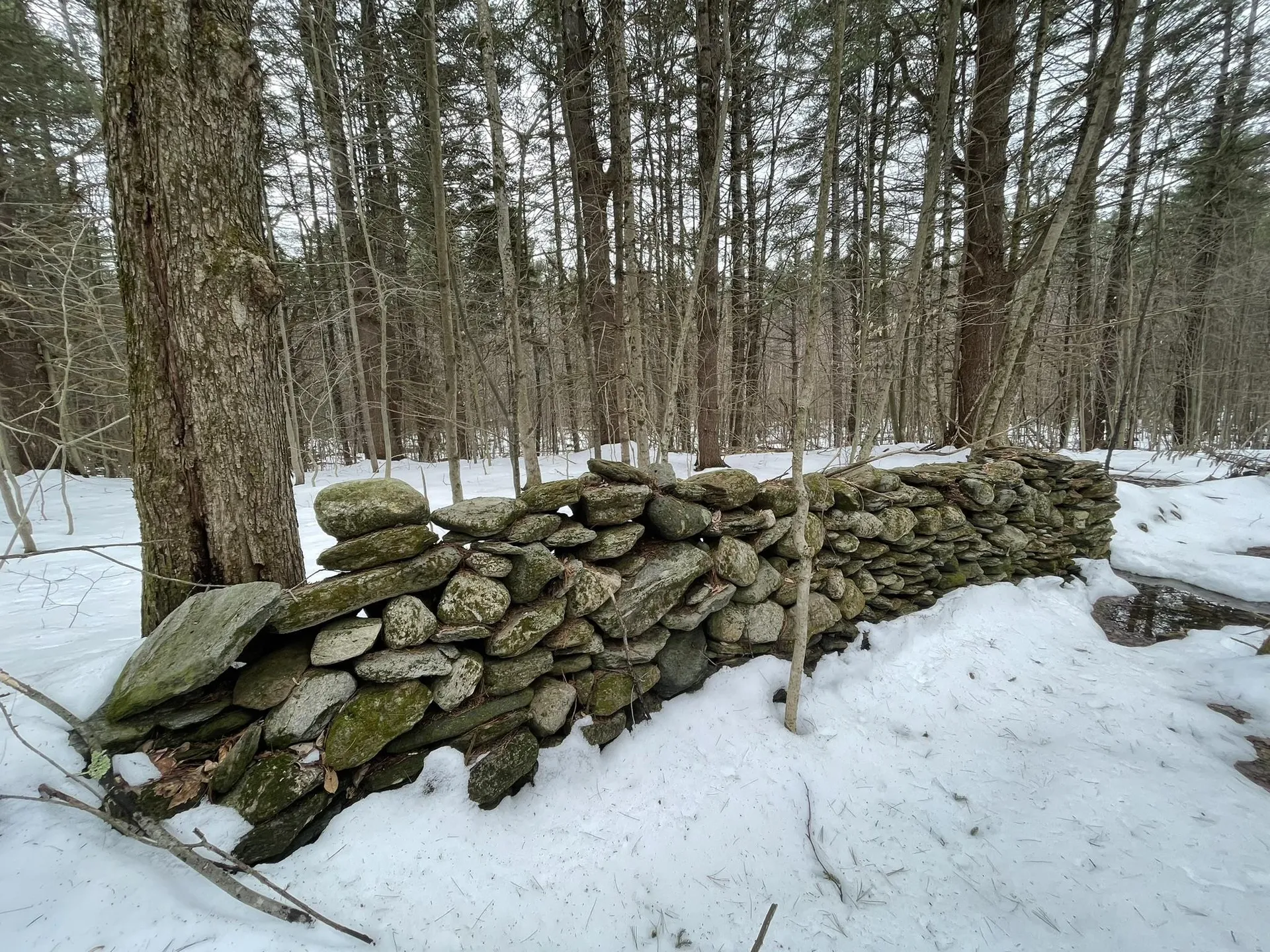 0 Lackey Hill Road Wardsboro VT 05355