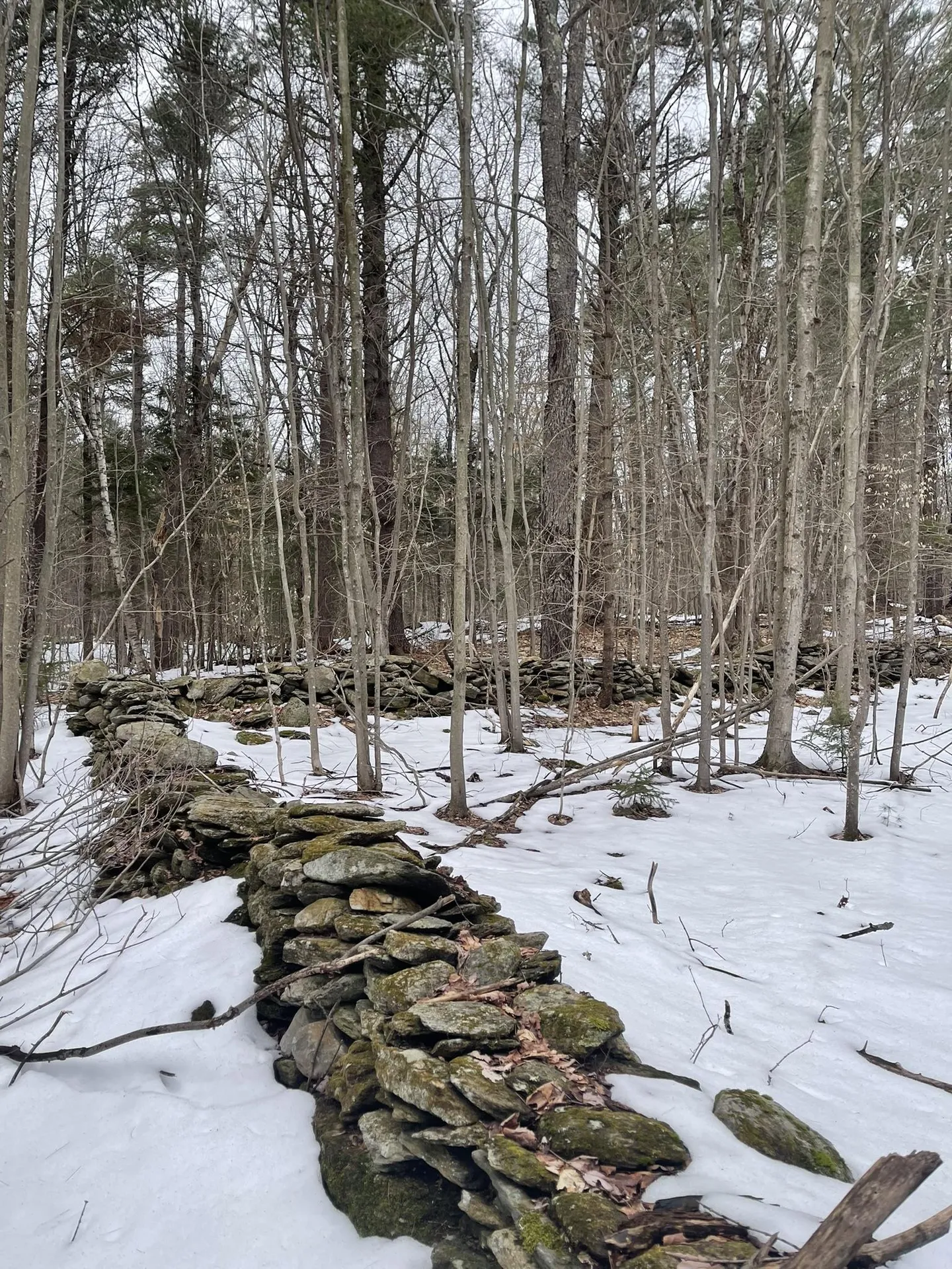 0 Lackey Hill Road Wardsboro VT 05355