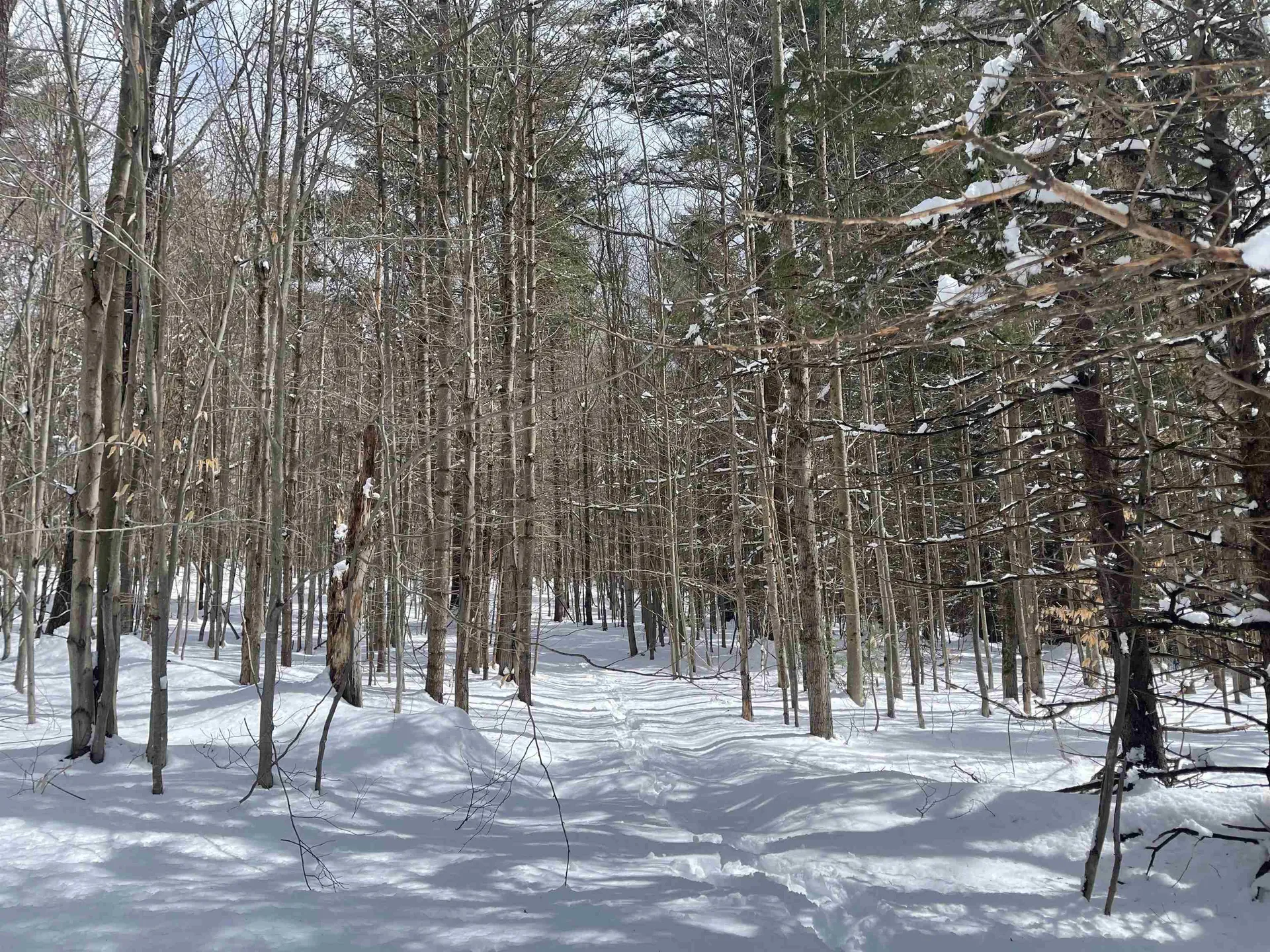 0 Lackey Hill Road Wardsboro VT 05355