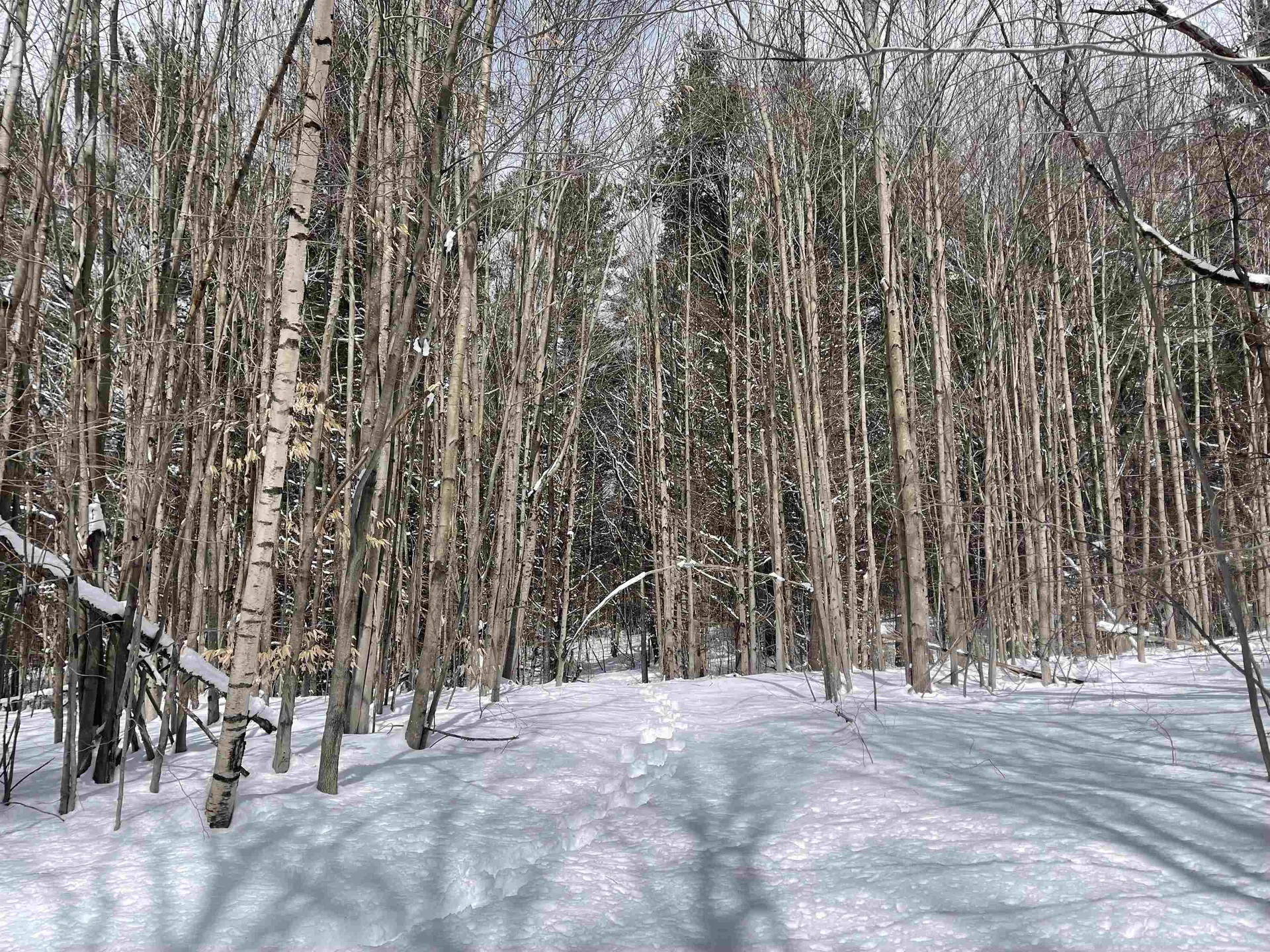 0 Lackey Hill Road Wardsboro VT 05355