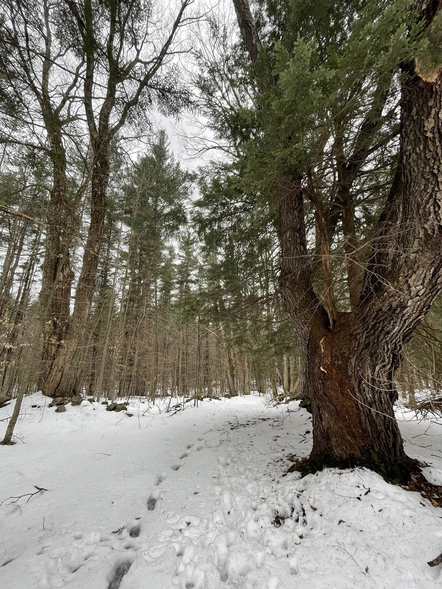 0 Lackey Hill Road Wardsboro VT 05355