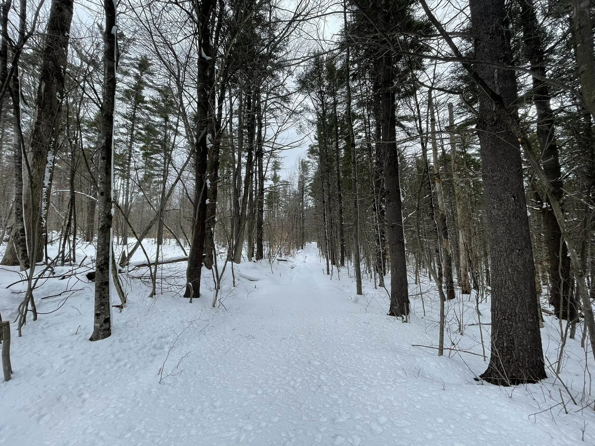 0 Lackey Hill Road Wardsboro VT 05355