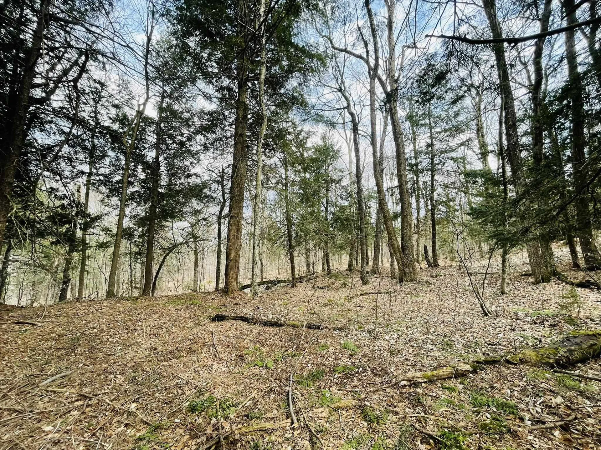 0 Lackey Hill Road Wardsboro VT 05355